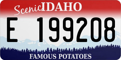 ID license plate E199208