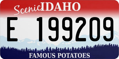 ID license plate E199209
