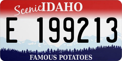 ID license plate E199213