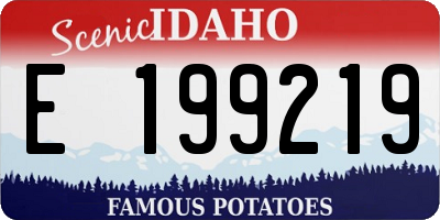 ID license plate E199219
