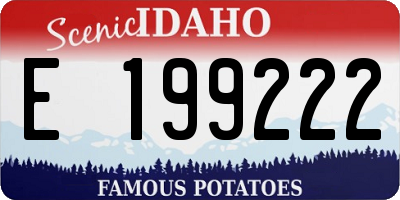 ID license plate E199222