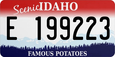 ID license plate E199223