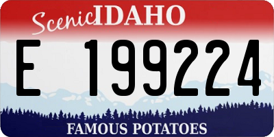ID license plate E199224