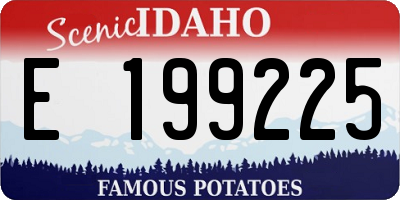 ID license plate E199225