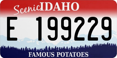ID license plate E199229