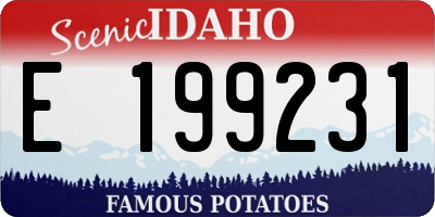 ID license plate E199231