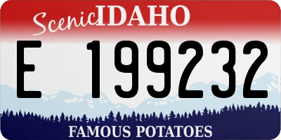ID license plate E199232
