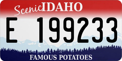 ID license plate E199233