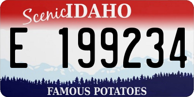 ID license plate E199234