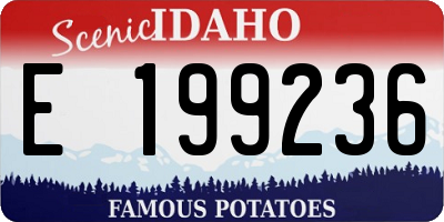 ID license plate E199236