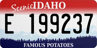 ID license plate E199237