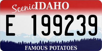 ID license plate E199239