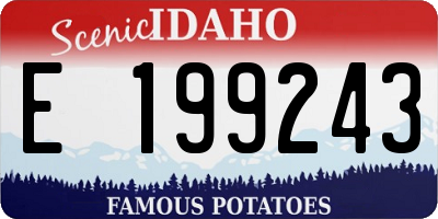 ID license plate E199243
