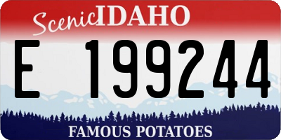 ID license plate E199244