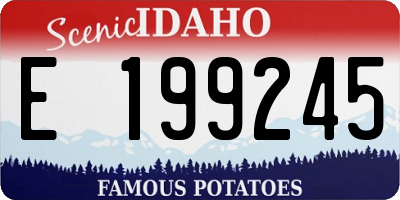 ID license plate E199245