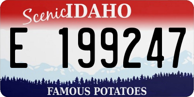 ID license plate E199247