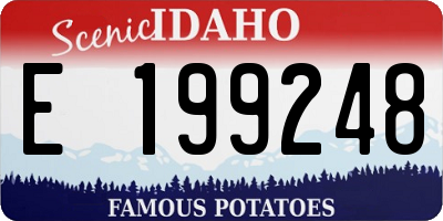 ID license plate E199248