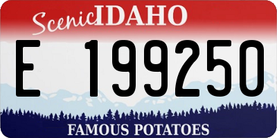ID license plate E199250