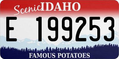 ID license plate E199253