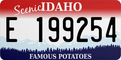 ID license plate E199254