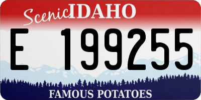 ID license plate E199255