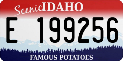 ID license plate E199256