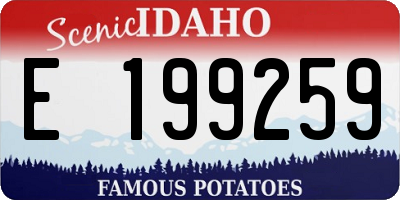 ID license plate E199259