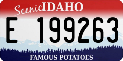 ID license plate E199263