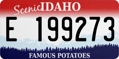 ID license plate E199273