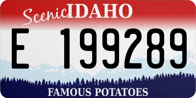 ID license plate E199289