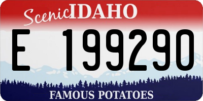 ID license plate E199290