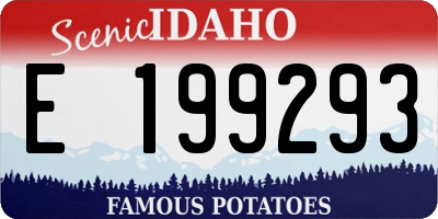 ID license plate E199293