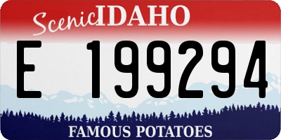 ID license plate E199294