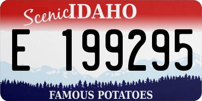 ID license plate E199295