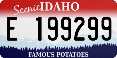 ID license plate E199299