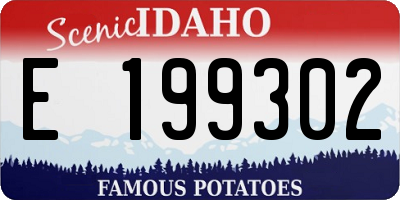 ID license plate E199302