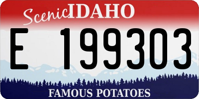 ID license plate E199303