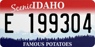 ID license plate E199304