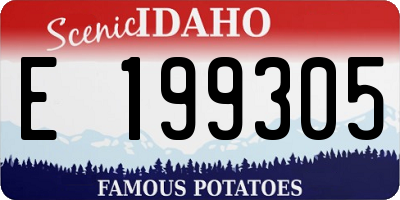 ID license plate E199305