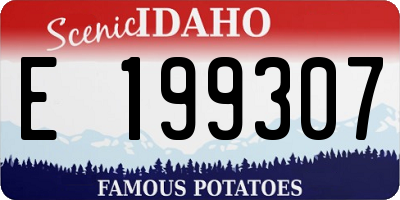 ID license plate E199307