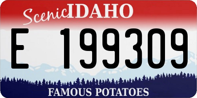 ID license plate E199309
