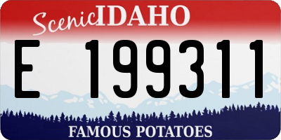 ID license plate E199311