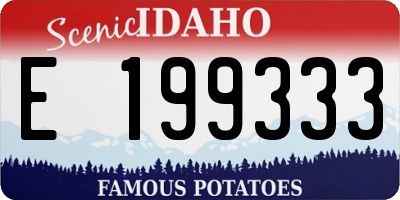 ID license plate E199333
