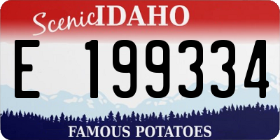 ID license plate E199334
