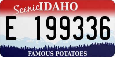ID license plate E199336