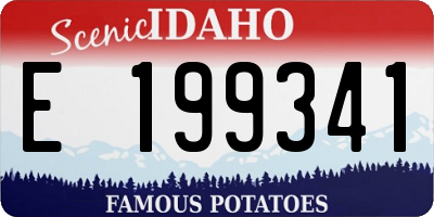 ID license plate E199341