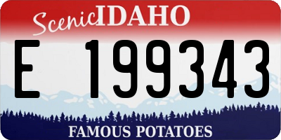 ID license plate E199343