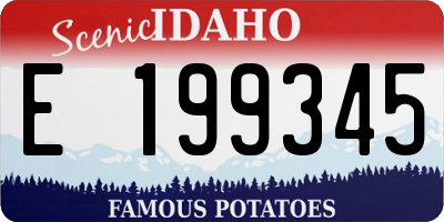ID license plate E199345