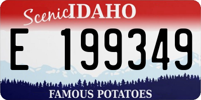ID license plate E199349
