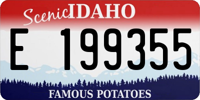 ID license plate E199355